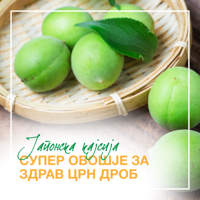 Prunus mume Јапонска кајсија Prunus mume Јапонска кајсија