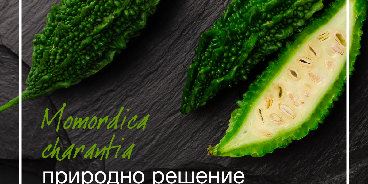 Горчлива диња (Momordica charantia) Диабил Дијабетес Горчлива диња (Momordica charantia) Диабил Дијабетес