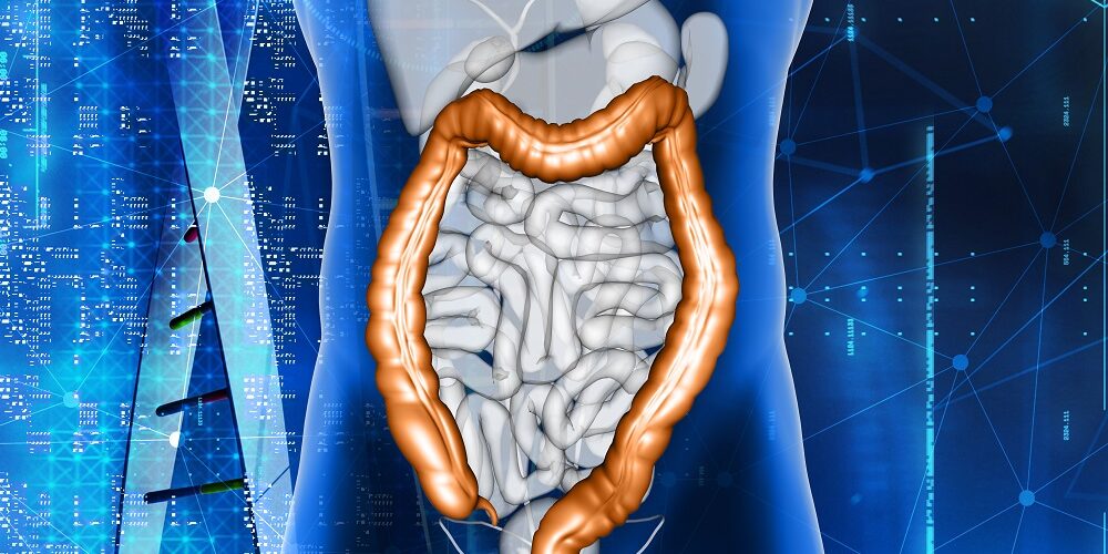 3D male medical figure with colon highlighted